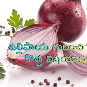Read more about the article ఉల్లిపాయ ఆరోగ్య రహస్యాలు: ఈ 9 అద్భుత ప్రయోజనాలు తెలిస్తే షాక్ అవుతారు!