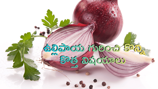 Read more about the article ఉల్లిపాయ ఆరోగ్య రహస్యాలు: ఈ 9 అద్భుత ప్రయోజనాలు తెలిస్తే షాక్ అవుతారు!