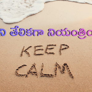 Read more about the article ఒత్తిడిని తేలికగా నియంత్రించండి: మానసిక ప్రశాంతత కోసం నిజంగా పనిచేసే 7 శక్తివంతమైన పద్ధతులు!
