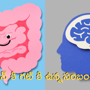 Read more about the article గట్-బ్రెయిన్ యాక్సిస్ రహస్యం: మీ పొట్టే మెదడు & చర్మానికి ‘మాస్టర్ కీ’! – శాస్త్రీయ పరిశోధనలు ఏం చెబుతున్నాయి?