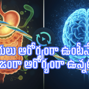 Read more about the article ఆరోగ్యానికి మూలం: మీ పేగు ఆరోగ్యం బాగోలేకపోతే కనిపించే 5 ప్రమాదకర లక్షణాలు! ఇంట్లోనే ప్రోబయోటిక్ ఆహారాలు ఎలా తయారుచేయాలి?
