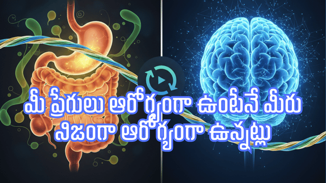 Read more about the article ఆరోగ్యానికి మూలం: మీ పేగు ఆరోగ్యం బాగోలేకపోతే కనిపించే 5 ప్రమాదకర లక్షణాలు! ఇంట్లోనే ప్రోబయోటిక్ ఆహారాలు ఎలా తయారుచేయాలి?