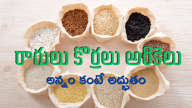 Read more about the article అన్నం కంటే అద్భుతం: రాగులు, కొర్రలు, అరికెలు – ఈ మిల్లెట్స్‌తో మధుమేహం (Diabetes) & బరువు నియంత్రణ ఎలా సాధ్యం?