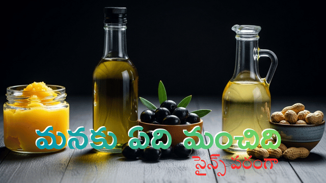 Read more about the article వంటకు ఏది ఉత్తమం? నెయ్యి (Ghee) vs. ఆలివ్ నూనె (Olive Oil) vs. వేరుశెనగ నూనె (Groundnut Oil) – గుండె, బరువు మరియు వంట ఉష్ణోగ్రత ఆధారంగా పోలిక!