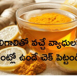 Read more about the article చలిగాలితో వచ్చే వ్యాధులకు ఇంట్లో ఉండే చెక్ పెట్టండి  శీతాకాల ఆహార, జీవనశైలి మార్గదర్శకాలు ఇవే..!