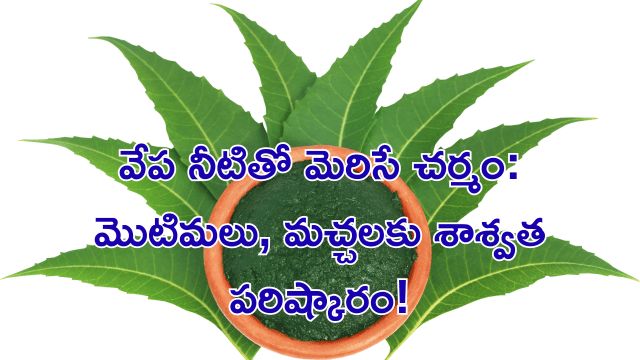 Read more about the article వేప నీటితో మెరిసే చర్మం: మొటిమలు, మచ్చలకు శాశ్వత పరిష్కారం!